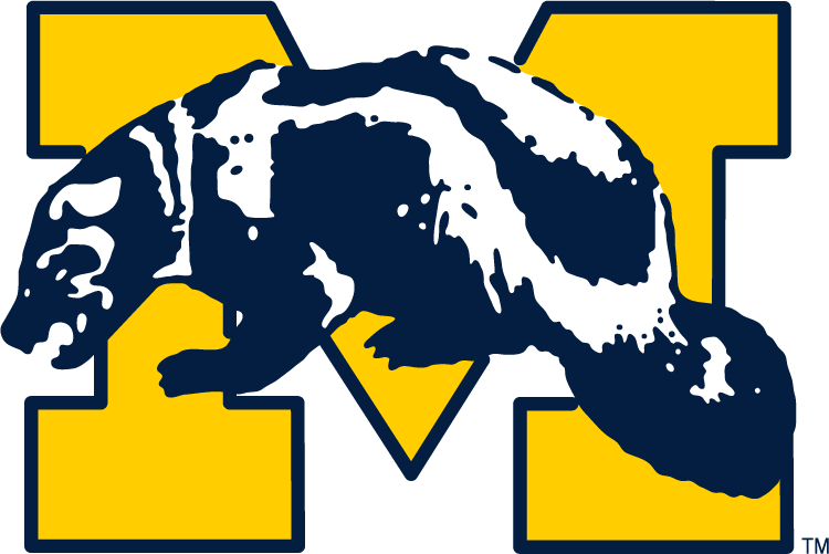 Michigan Wolverines 1964-1978 Primary Logo iron on transfers for T-shirts...